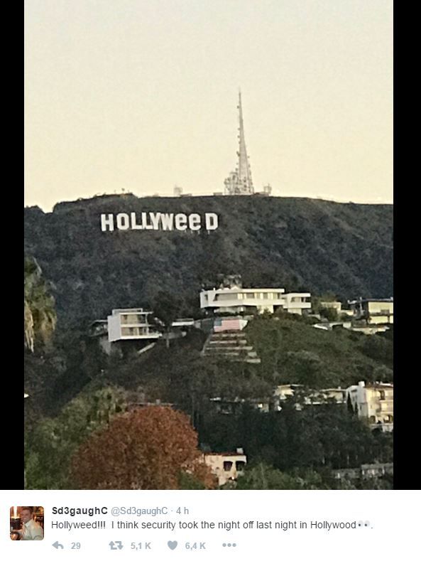 hollyweed-2.jpg