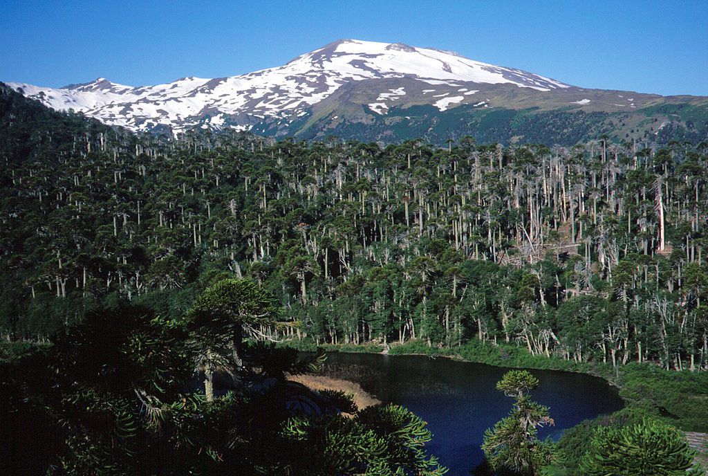 volcán copahue