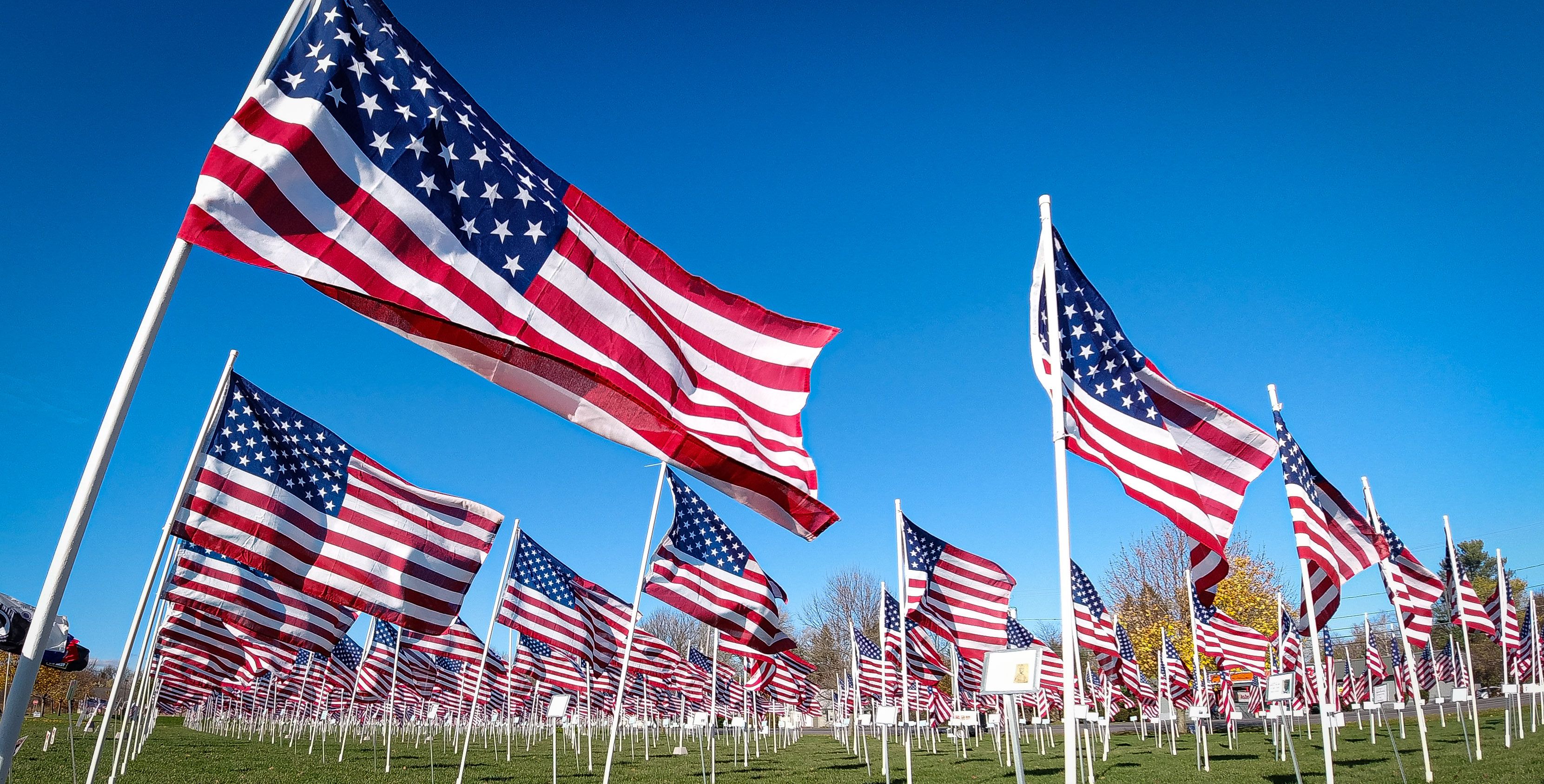 Are Banks And Post Office Open Today Veterans Day