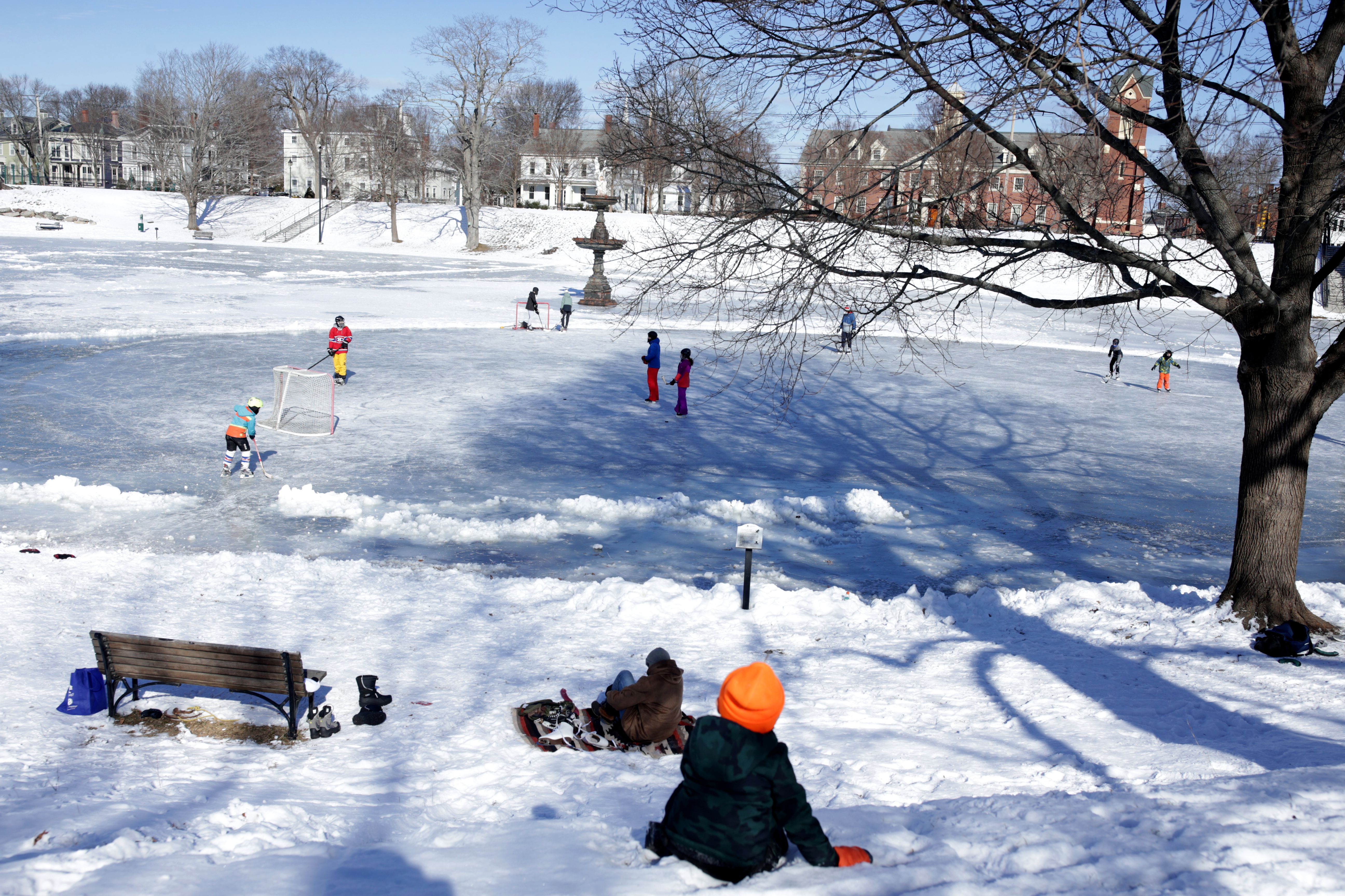 Skate with Wally & Tessie at Frog Pond! (Local Guide)