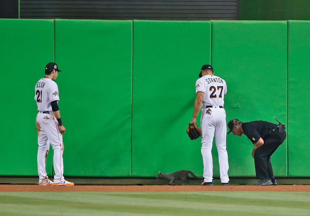 Giancarlo Stanton Miami Marlins Vice Night