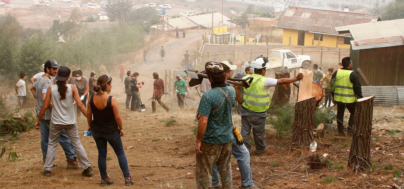 voluntario