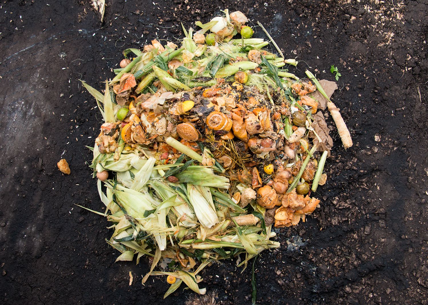 Composting 101: Keep Your Compost Pile Moist - Bonnie Plants