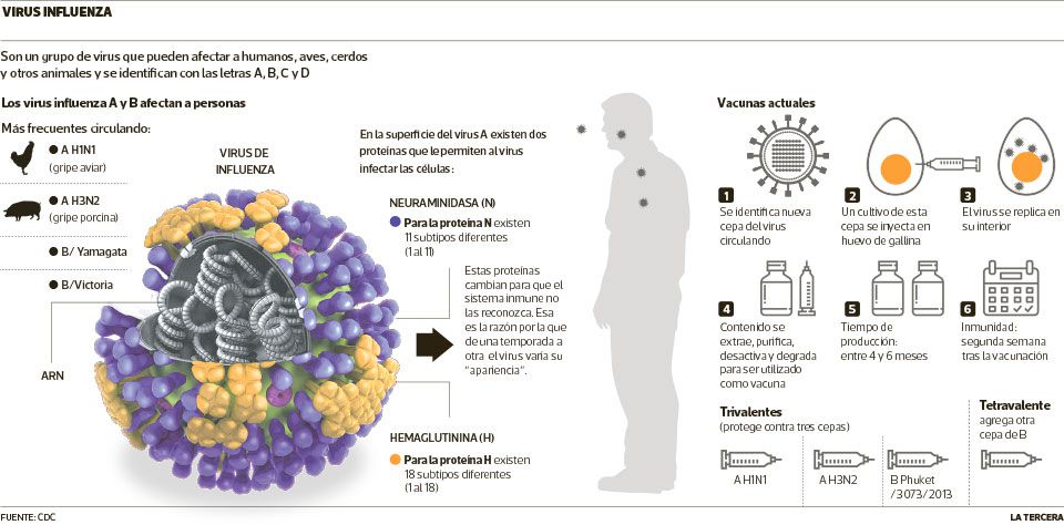 JPGinfluenza.jpg