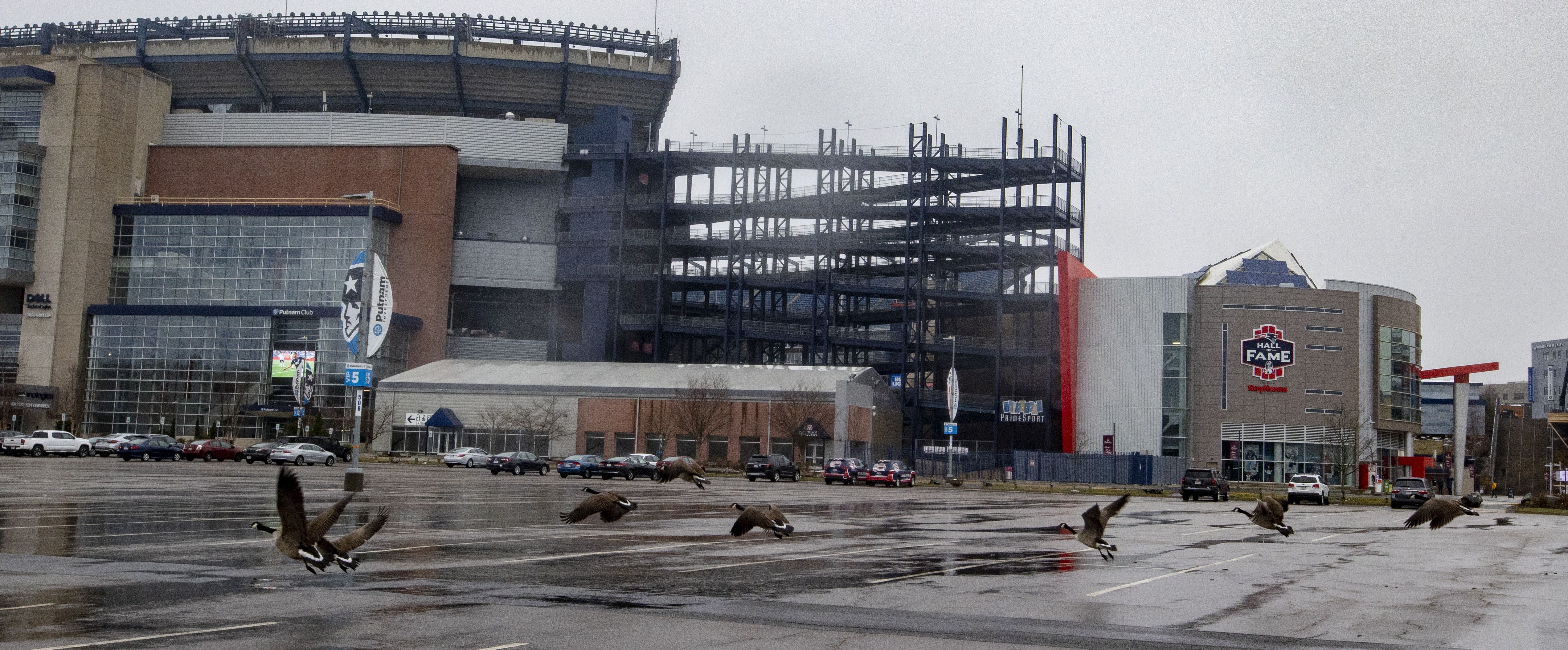 Update! Pictures from Gillette Stadium's Putnam Club for Pats/Jets