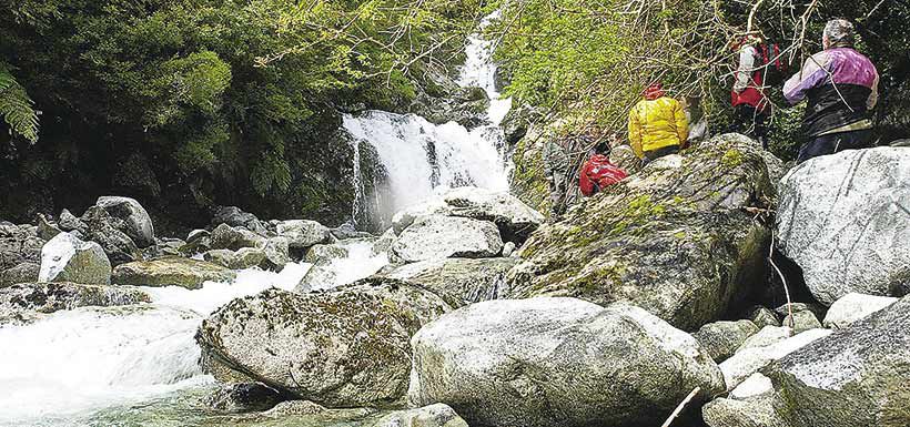 Parque Nacional Queulat