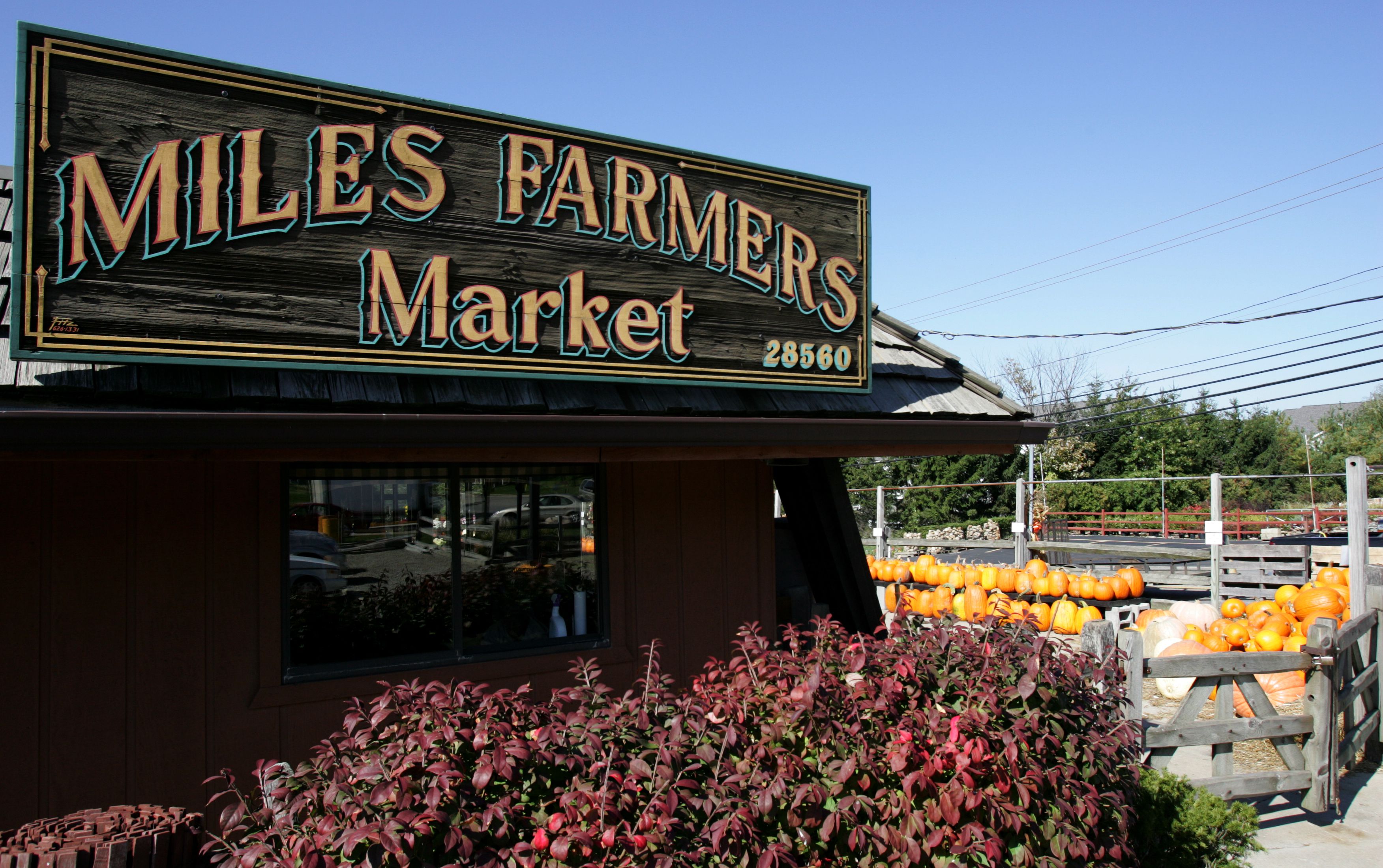The Market at Cedar Point  Farmer's and Arts Markets Held Every Weekend