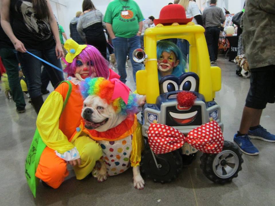 Howl-O-Ween Pet Costume Contest, Chelsea Michigan