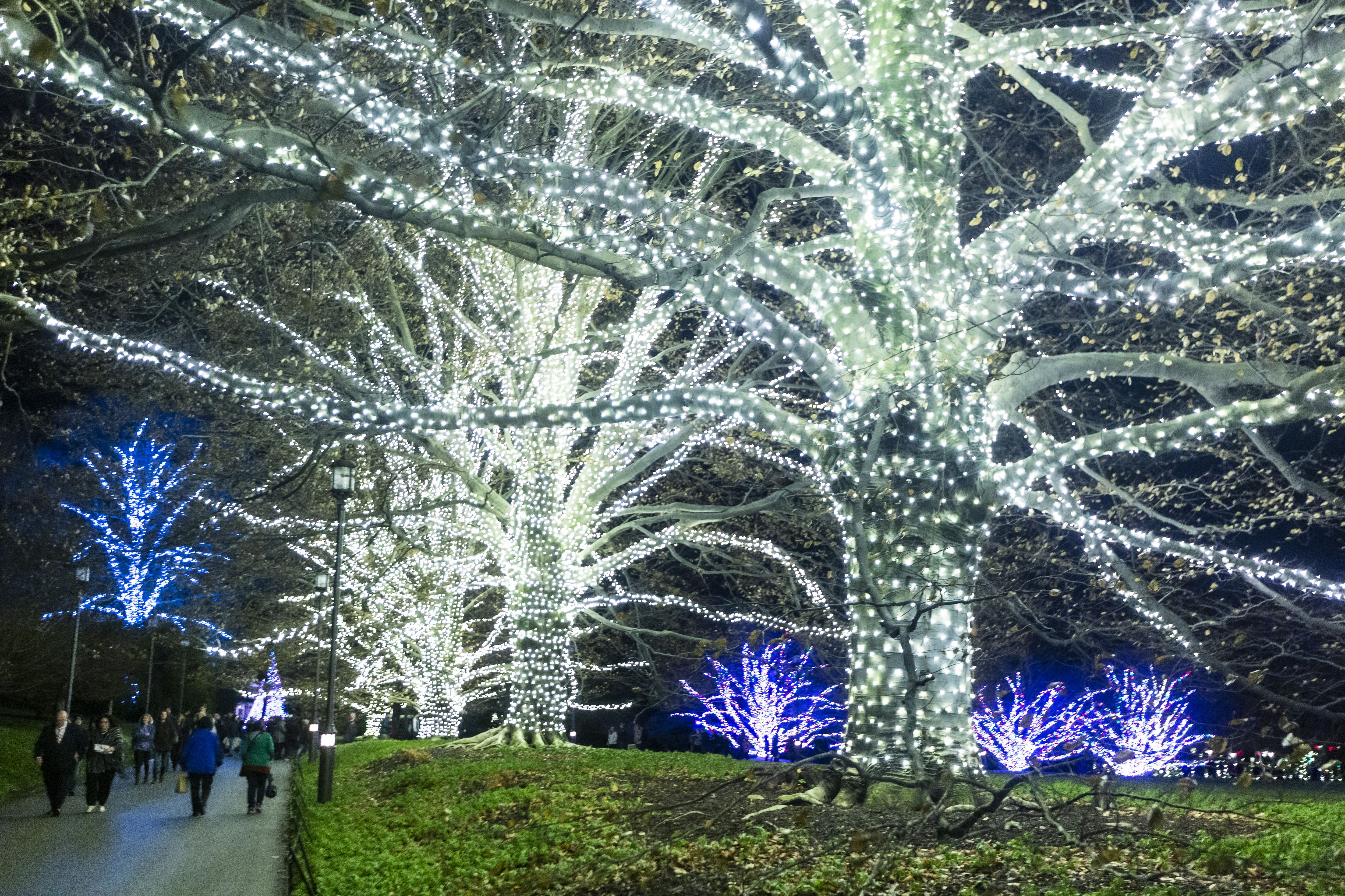 Longwood Gardens Christmas Display Includes 500 000 Lights 150