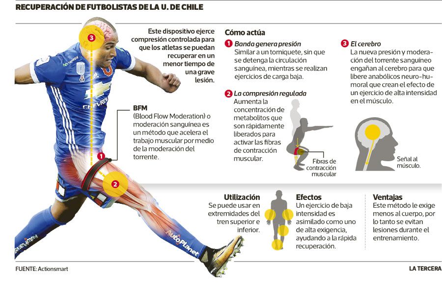 infografia-cinta