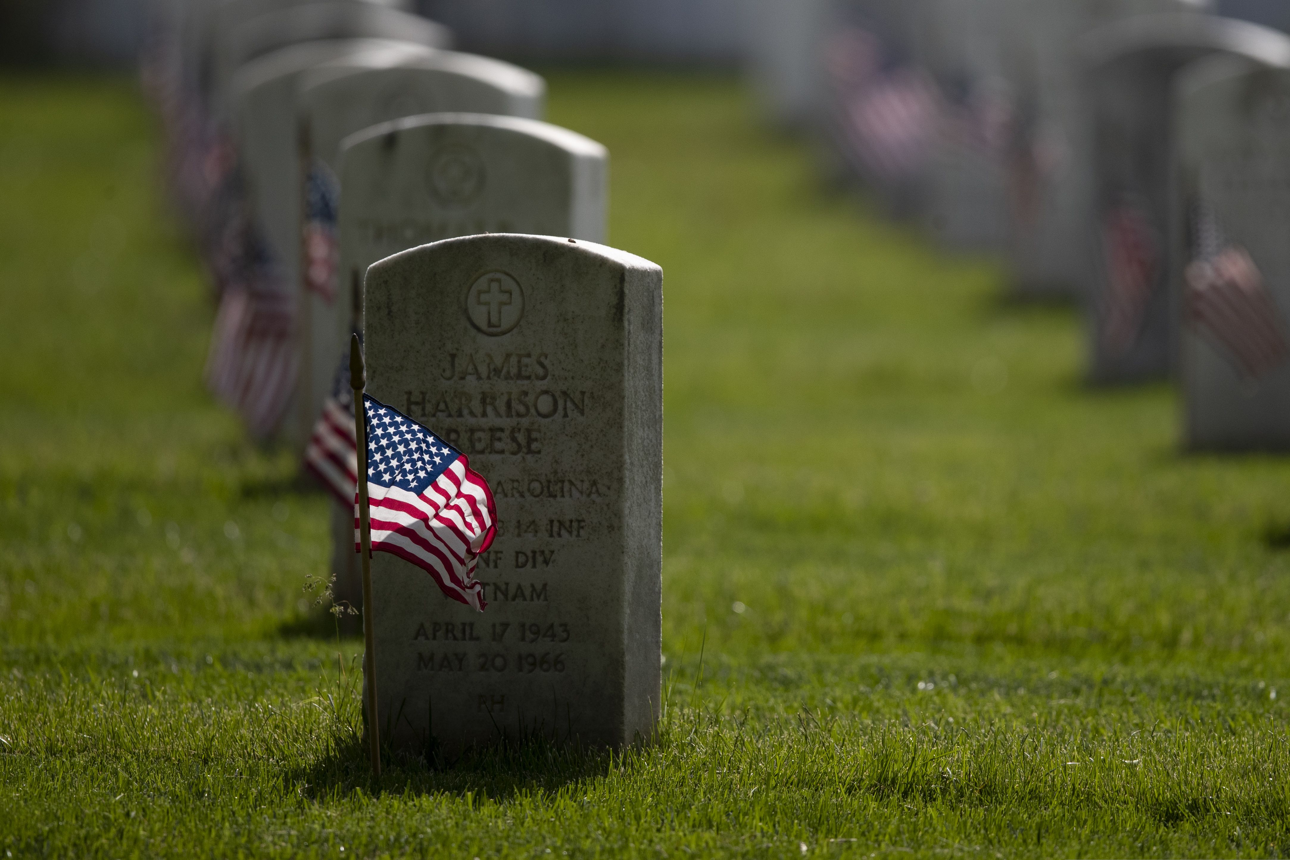 Honoring Memorial Day: In Flanders Fields