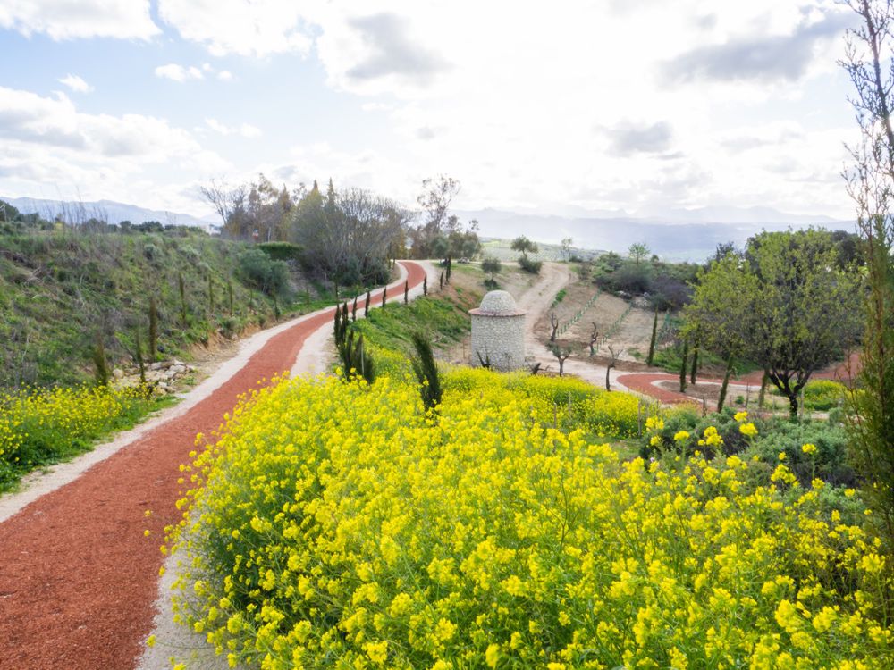 Sendero ubicado en la localidad de Ronda, Andalucia.