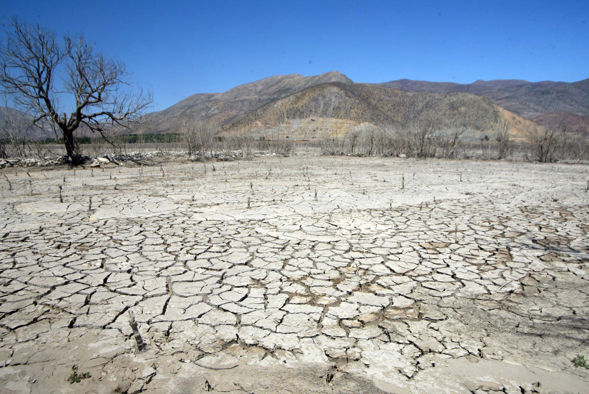 Revista Science publica carta de científicas chilenas que piden utilizar la evidencia para adoptar medidas de mitigación al cambio climático