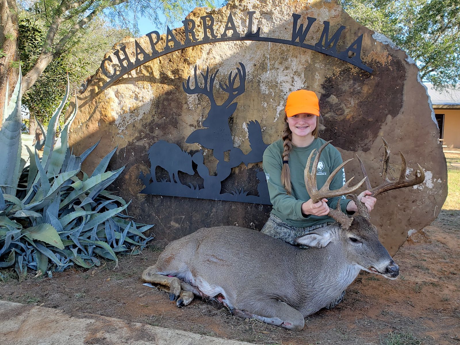 west texas desert mule deer hunting mule deer hunting outfitters in tx on texas draw hunts status