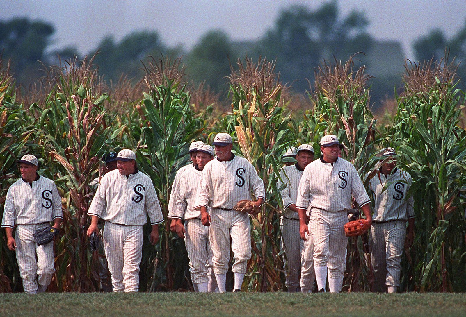 Ray Liotta - Field of Dreams.  Ray liotta, Field of dreams, Famous movie  quotes