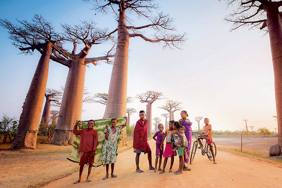 Imagen-madagascar_Pobladores-de-Baobab-Aven-(43053607)