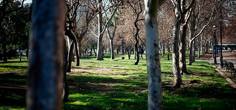 parque-forestal