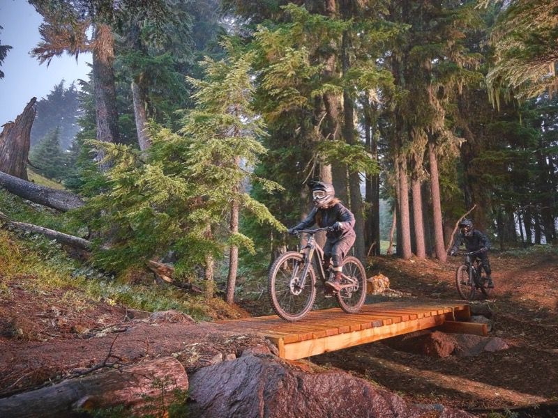 Timberline mtb online park