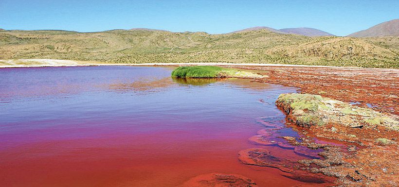 Laguna Roja