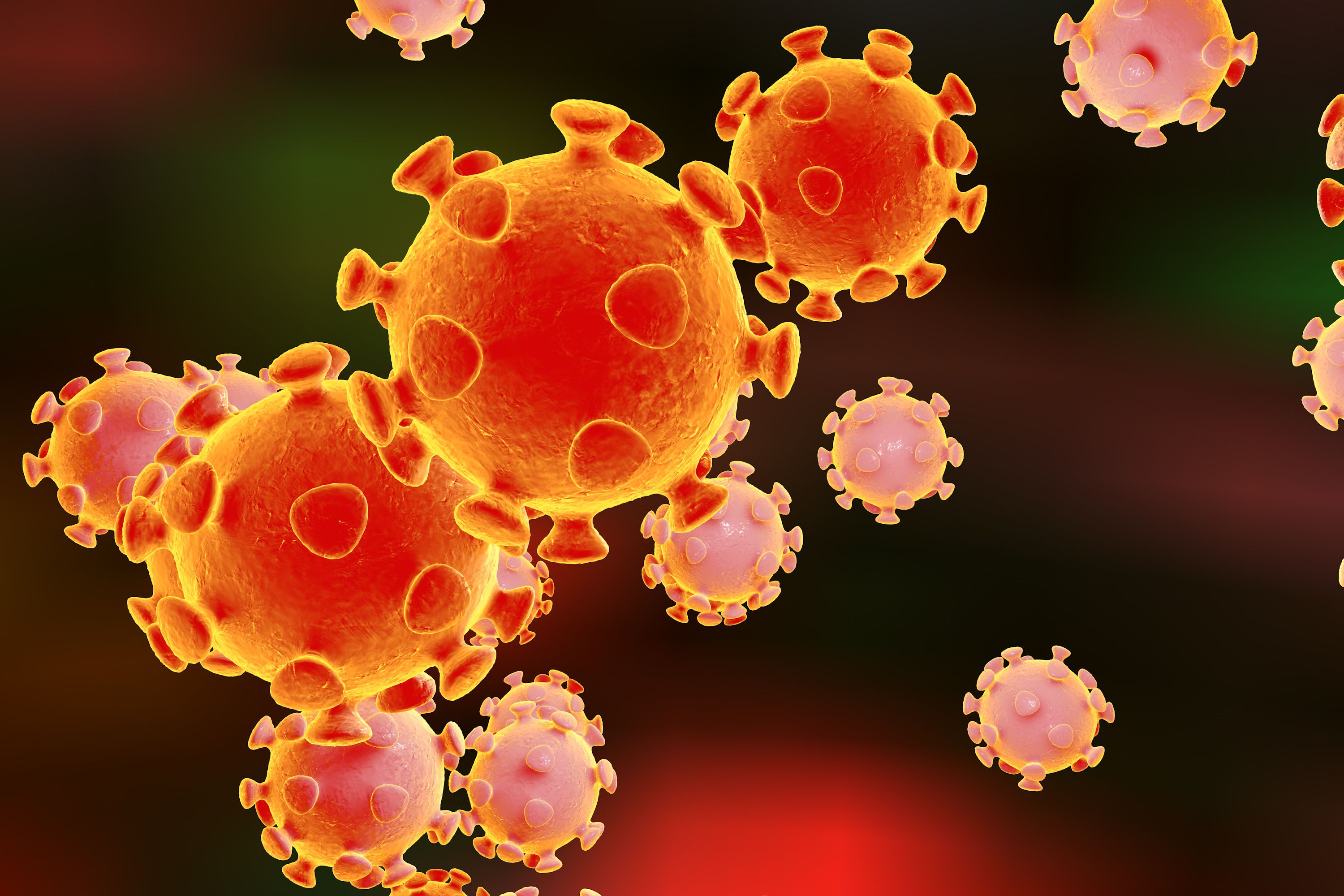 Coronavirus, virus which causes SARS and MERS