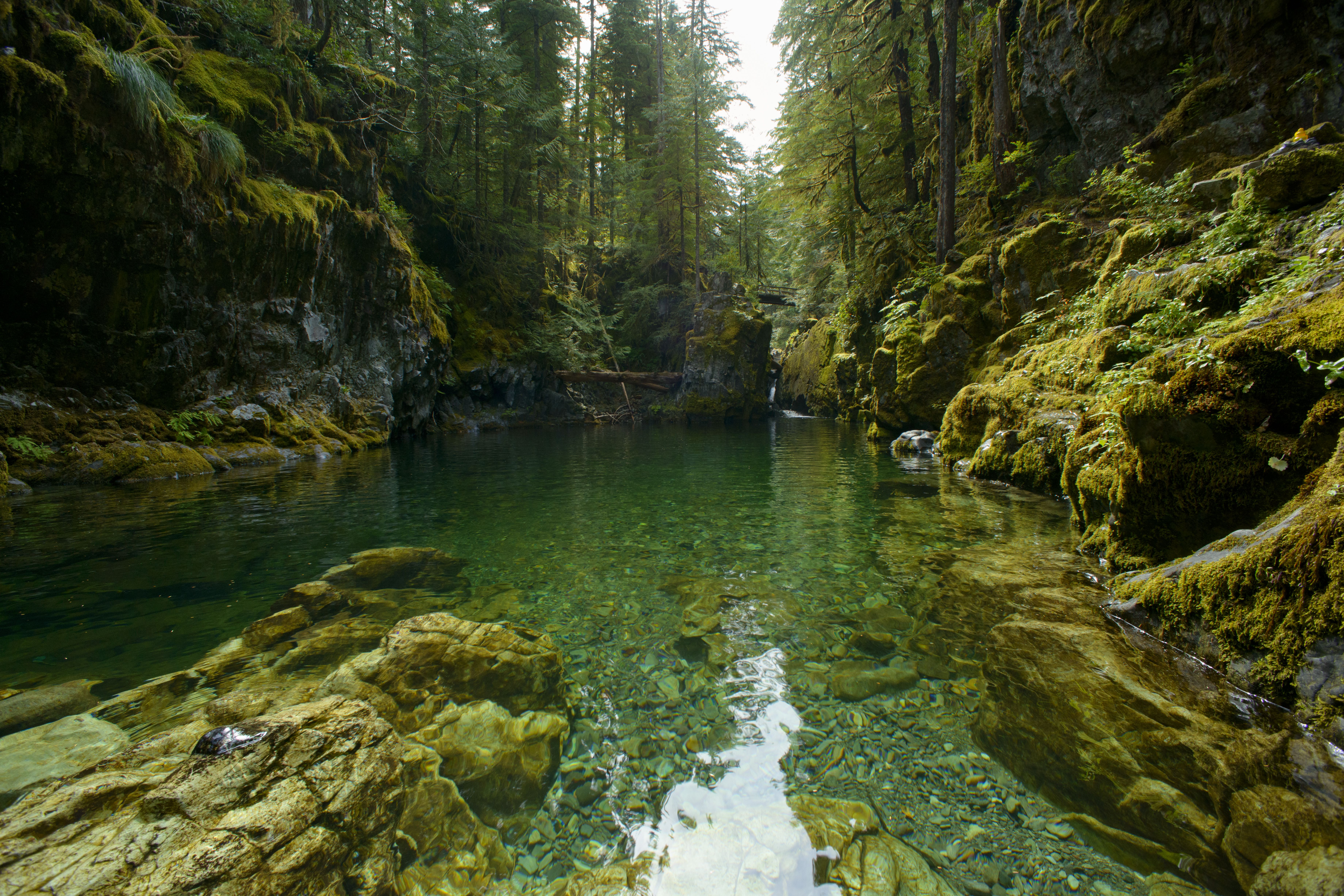 Opal creek outlet hike