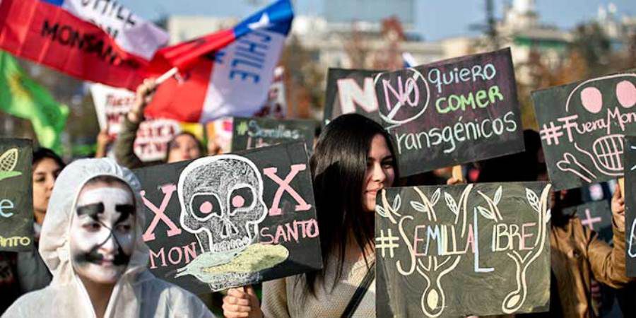 CHILE-MONSANTO-DEMO