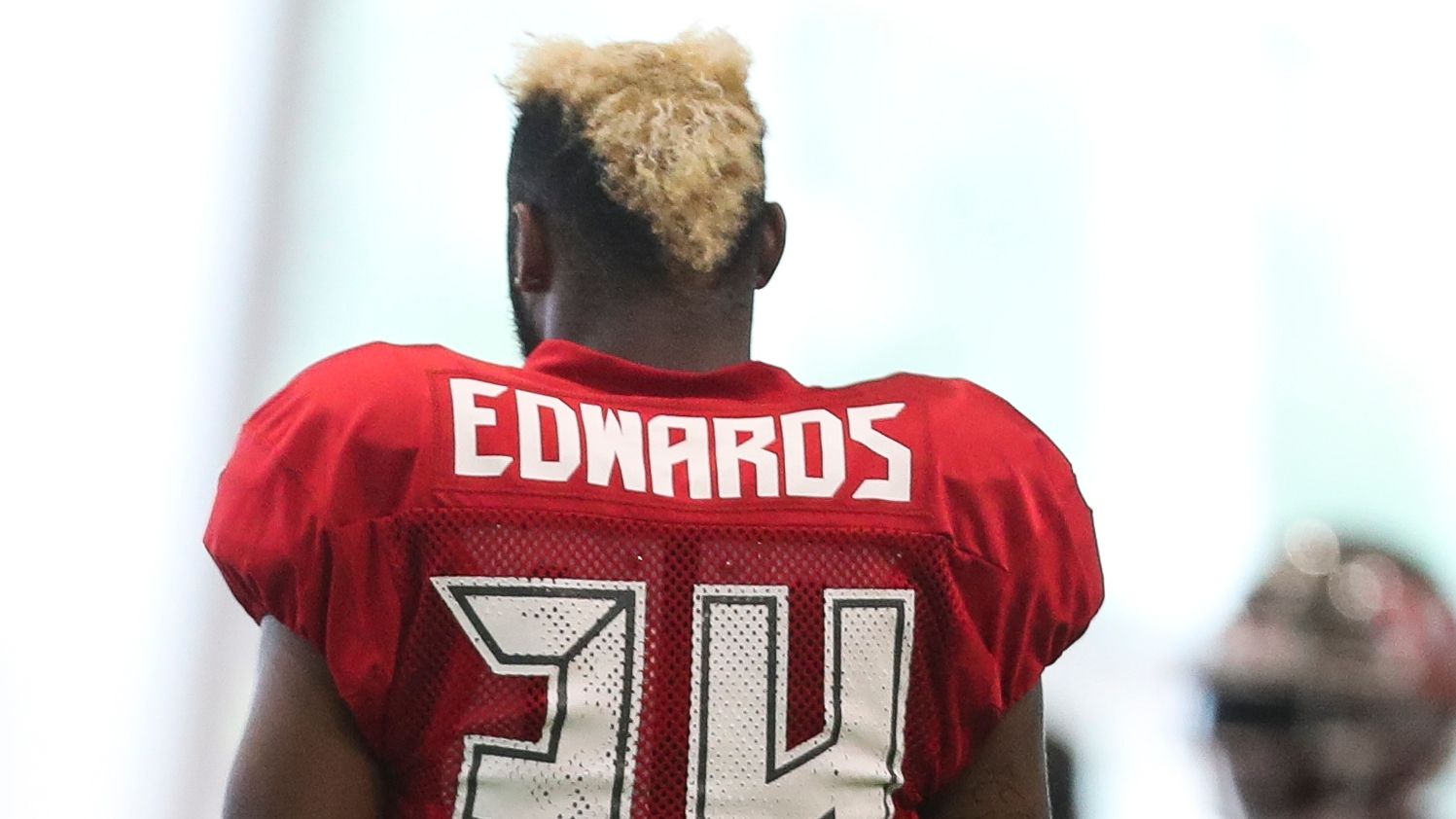 Could rookie Mike Edwards become Bucs' 'Honey Badger'?