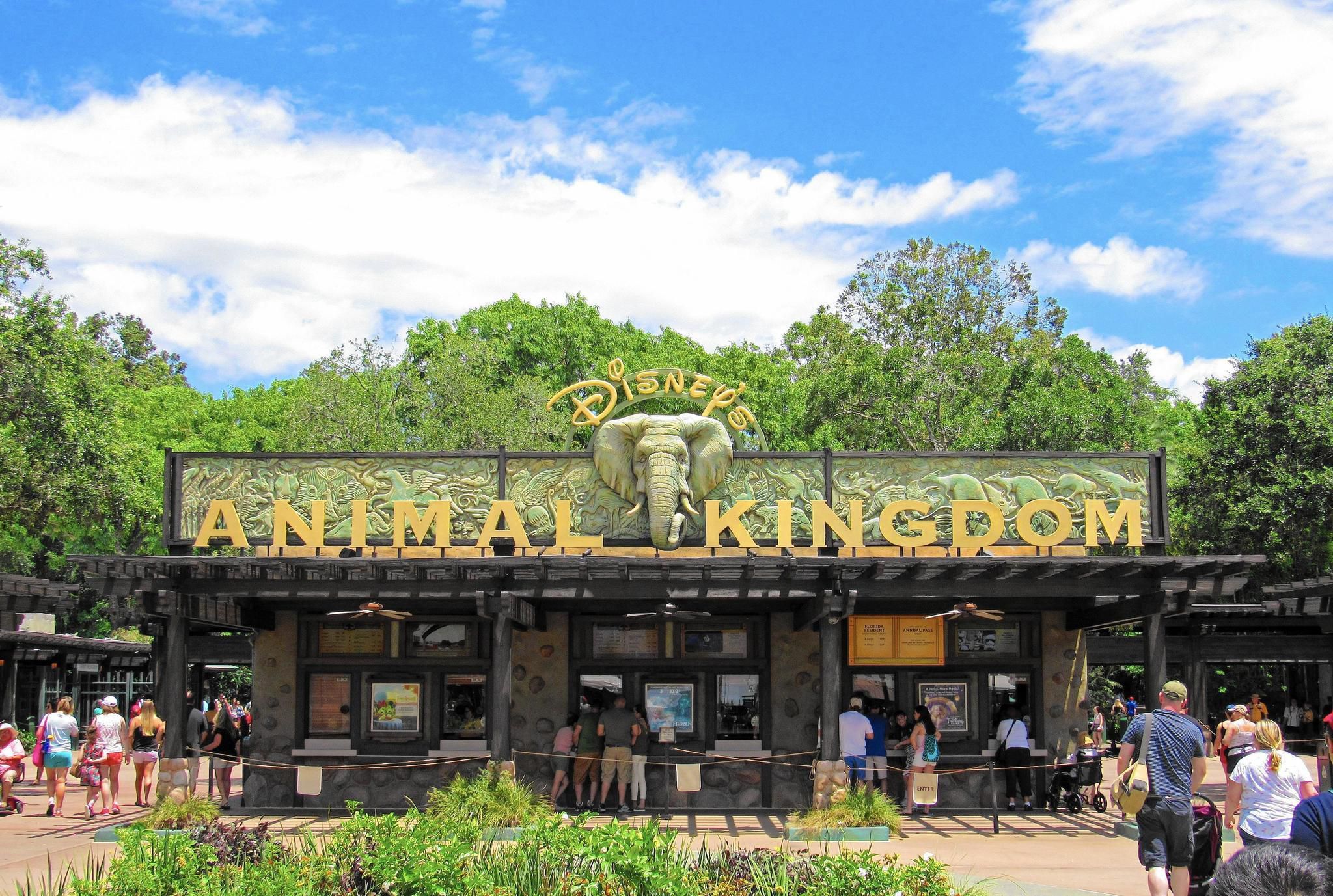 20 things you may not know about Disney's Animal Kingdom, which turns 20 on  Earth Day – Chicago Tribune