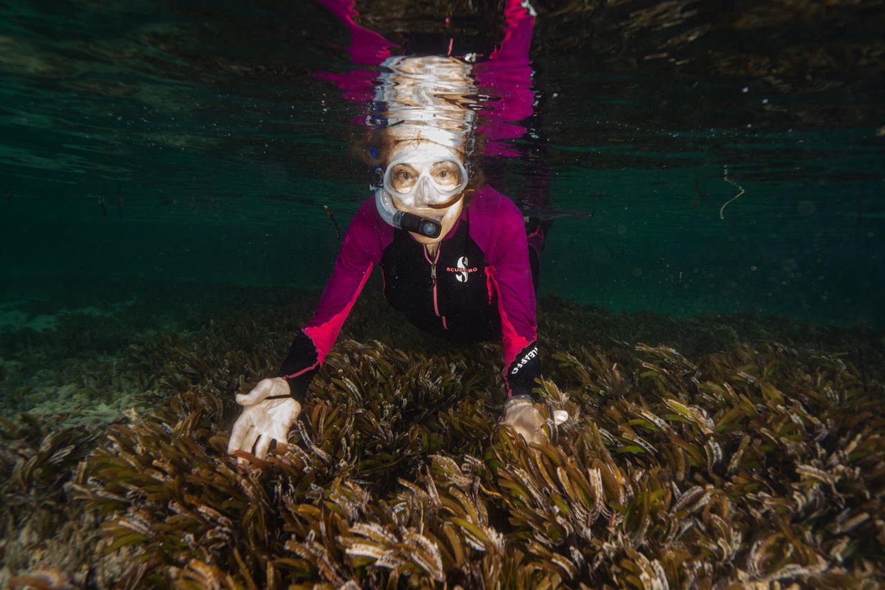 Sylvia Earle / Foto Max Bello