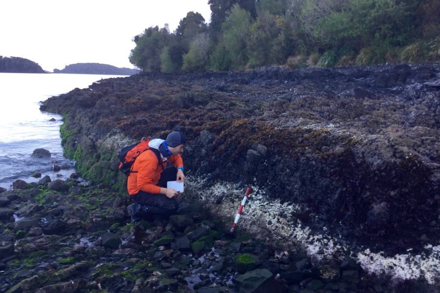 algas isla terremoto chiloe