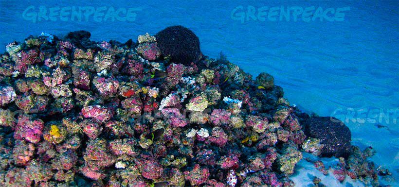 greenpeace-amazon-reef4.jpg