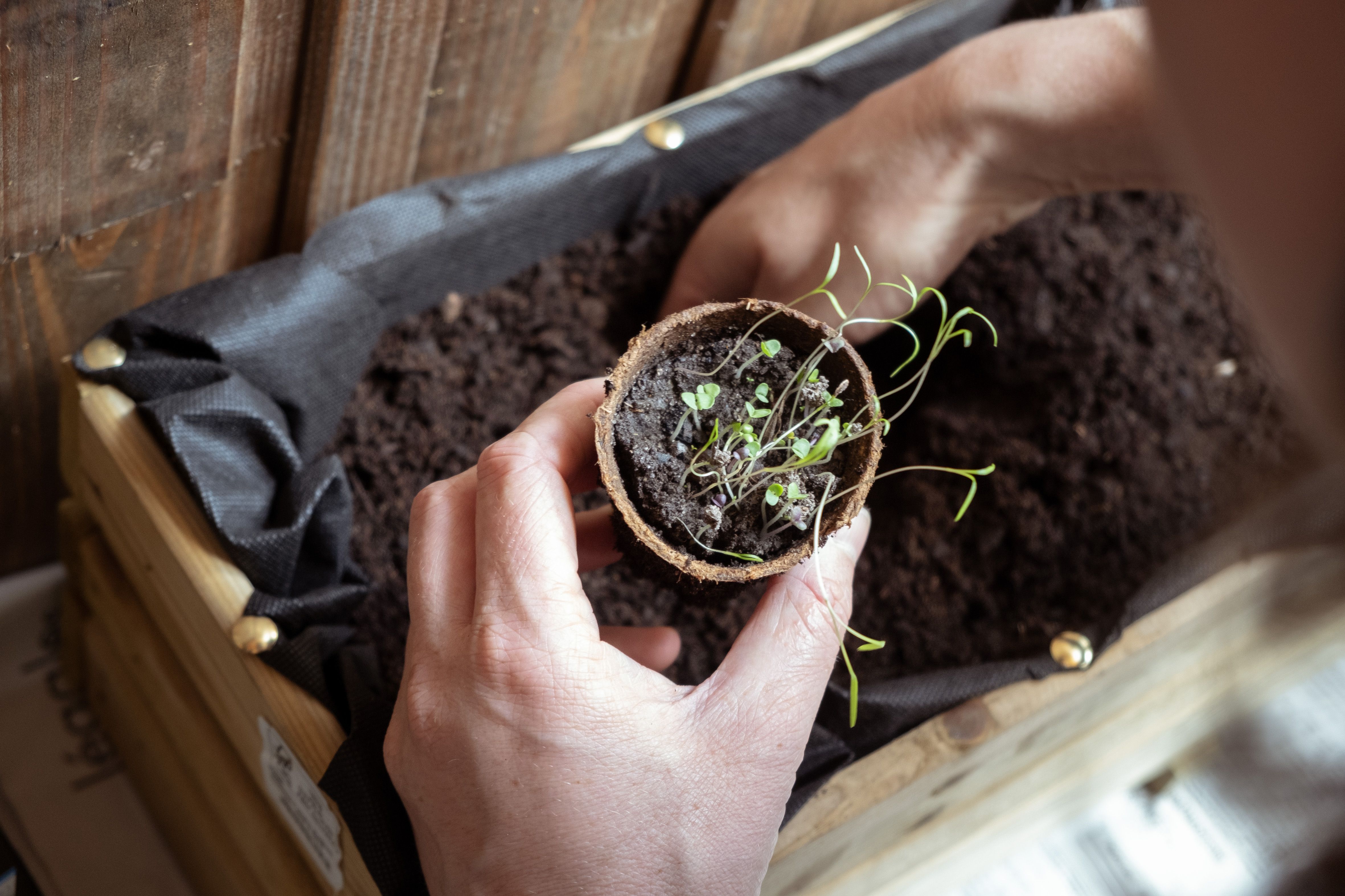 FRANCE - HOBBY - APARTMENT GARDENING