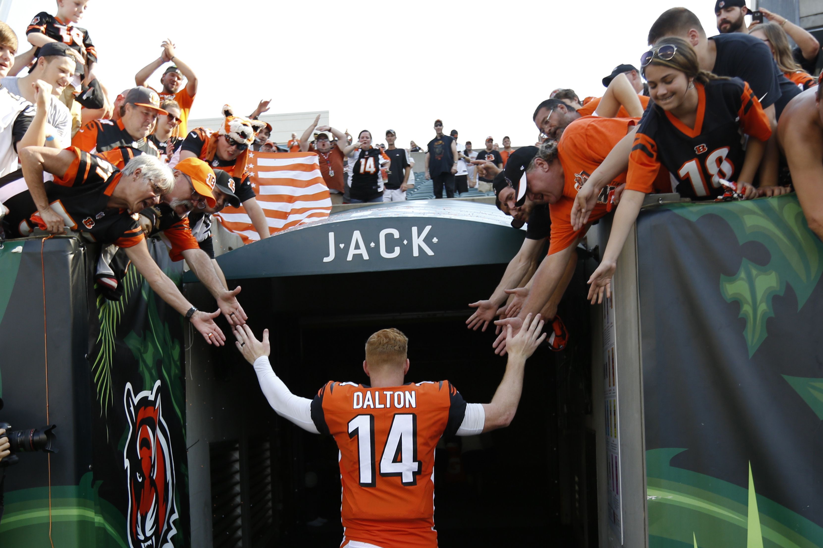 Bengals To Reinstall Andy Dalton As Starter