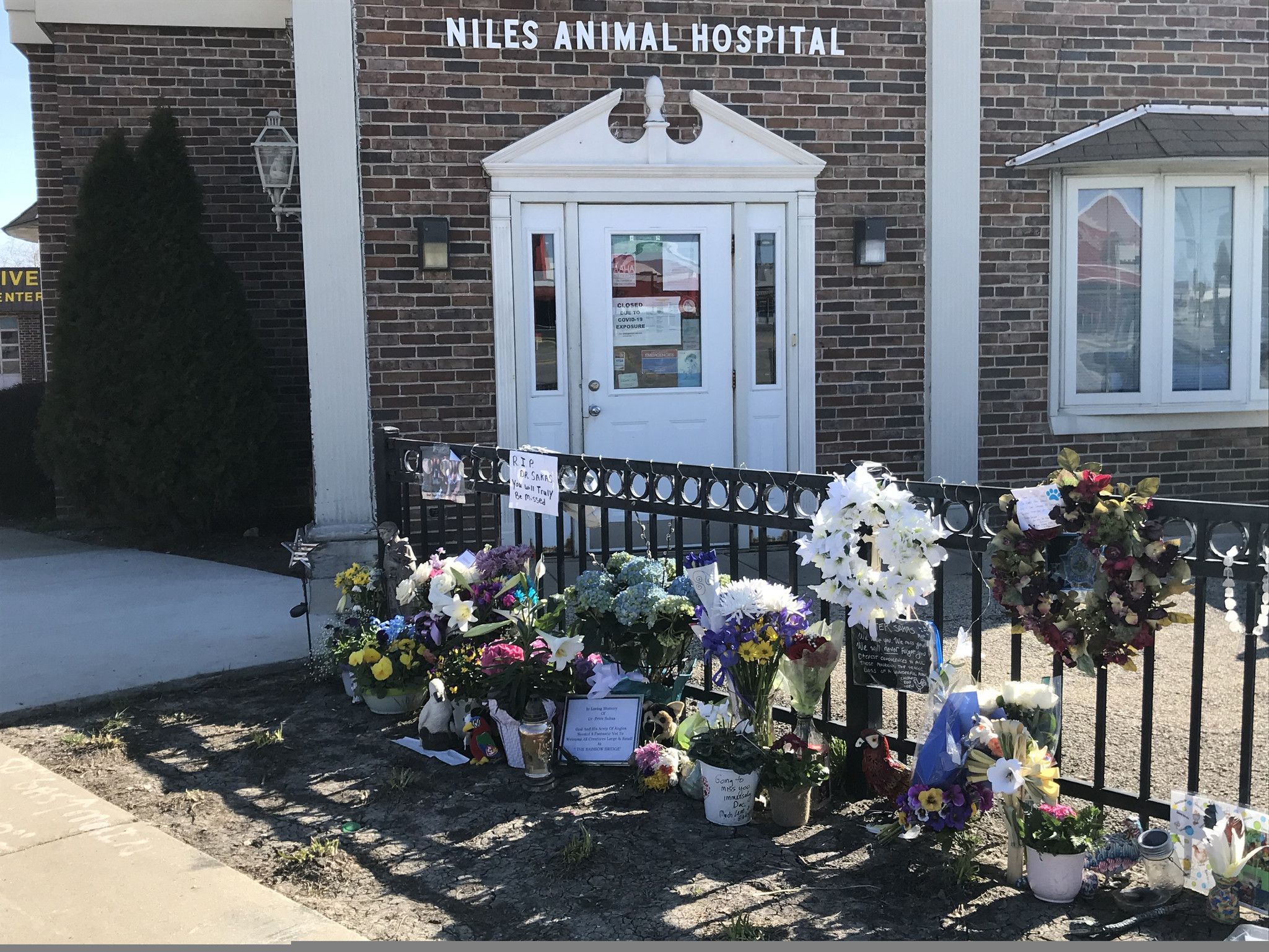 Niles Animal Hospital reopens after owner's death: 'We just need to put our  family back together' – Chicago Tribune