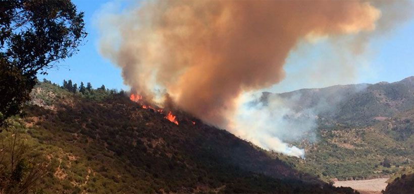 incendio forestal en machalí