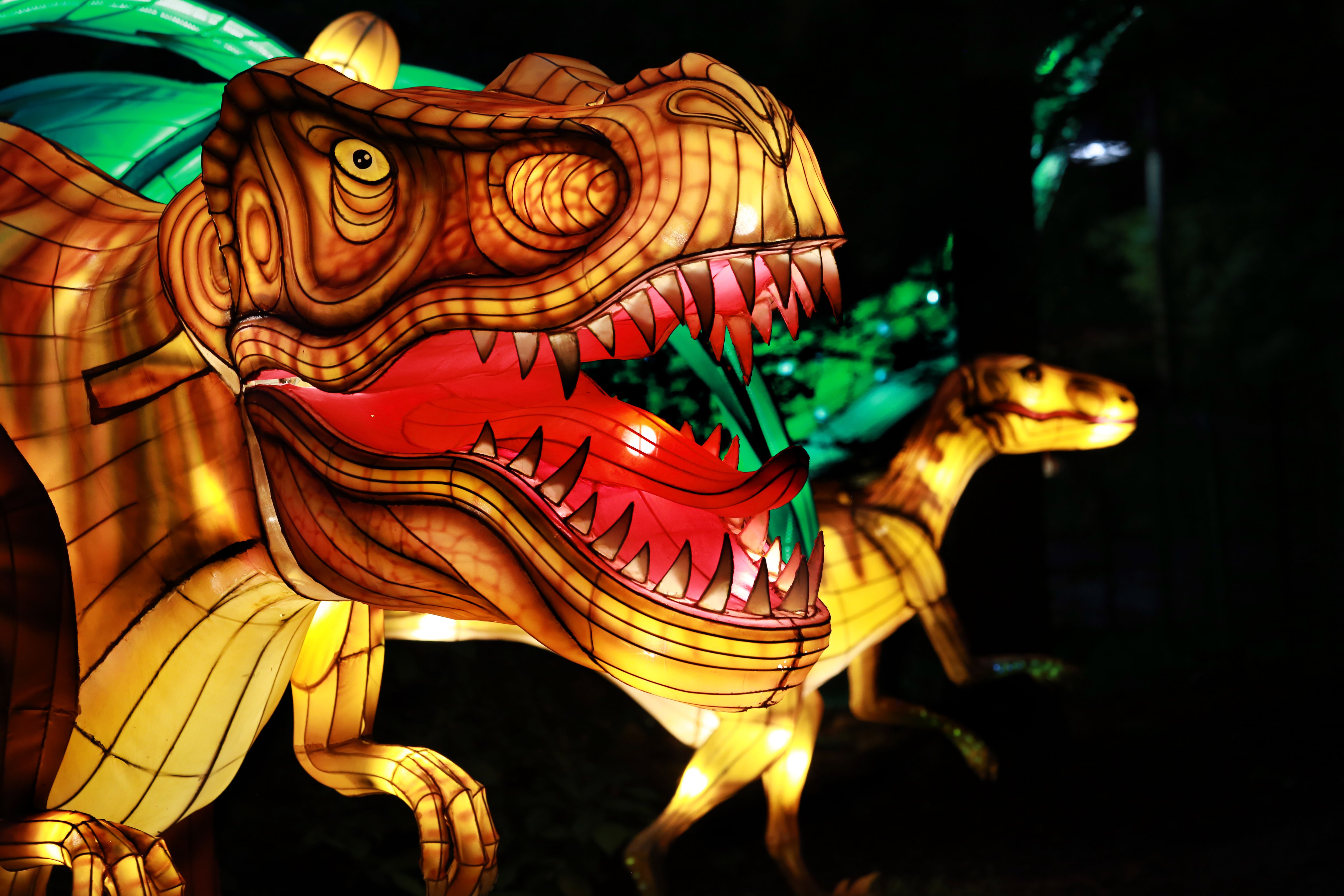 Asian Lantern Festival | Live Stream, Lineup, and Tickets Info