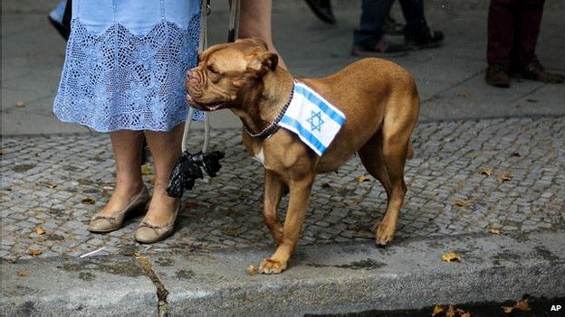 140728150428_manifestante_pro_israel_berlin_624x351_ap_nocredit.jpg