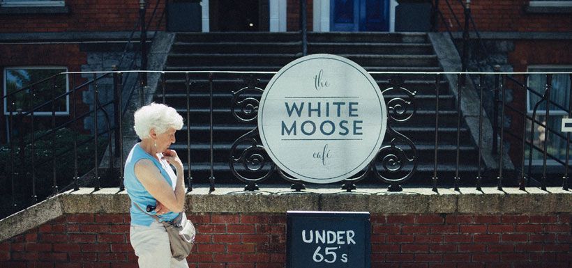 the-white-moose