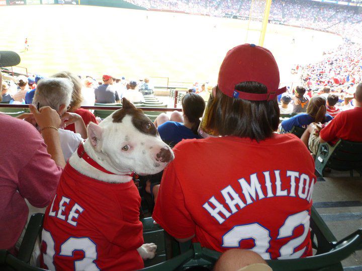 Major League Baseball Pet Wear: Royals - Palace Of Paws