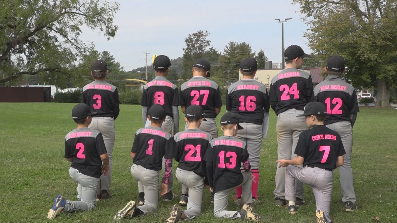 Virginia Mavericks Baseball - Home