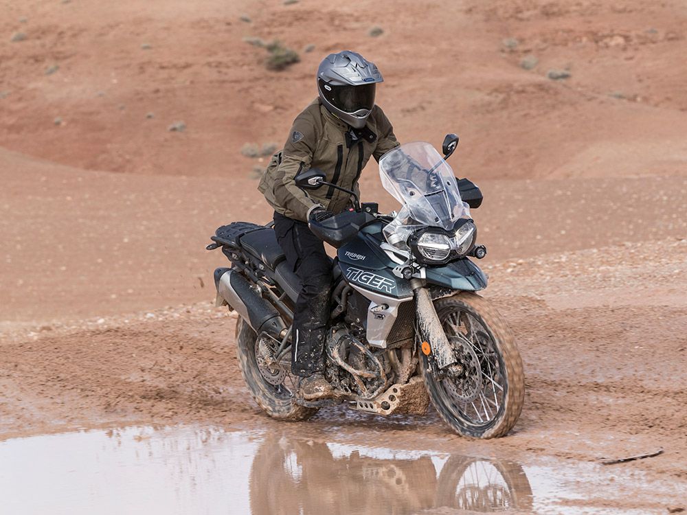 Triumph tiger discount 800 xca 2019