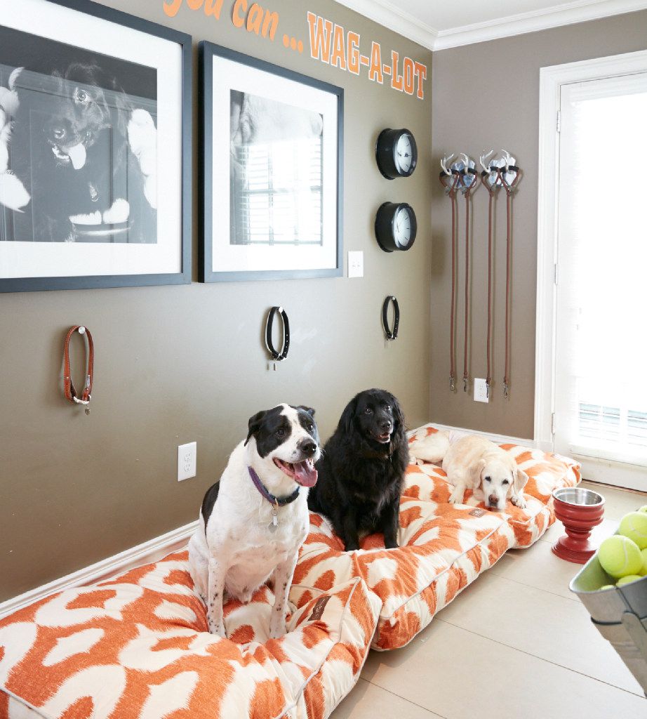 Dog Room Decor