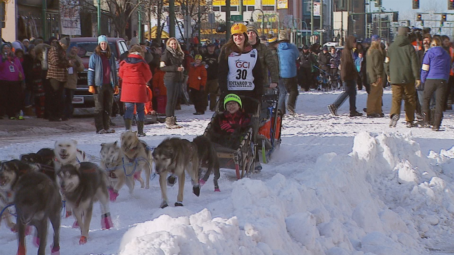 Cindy best sale gallea iditarod