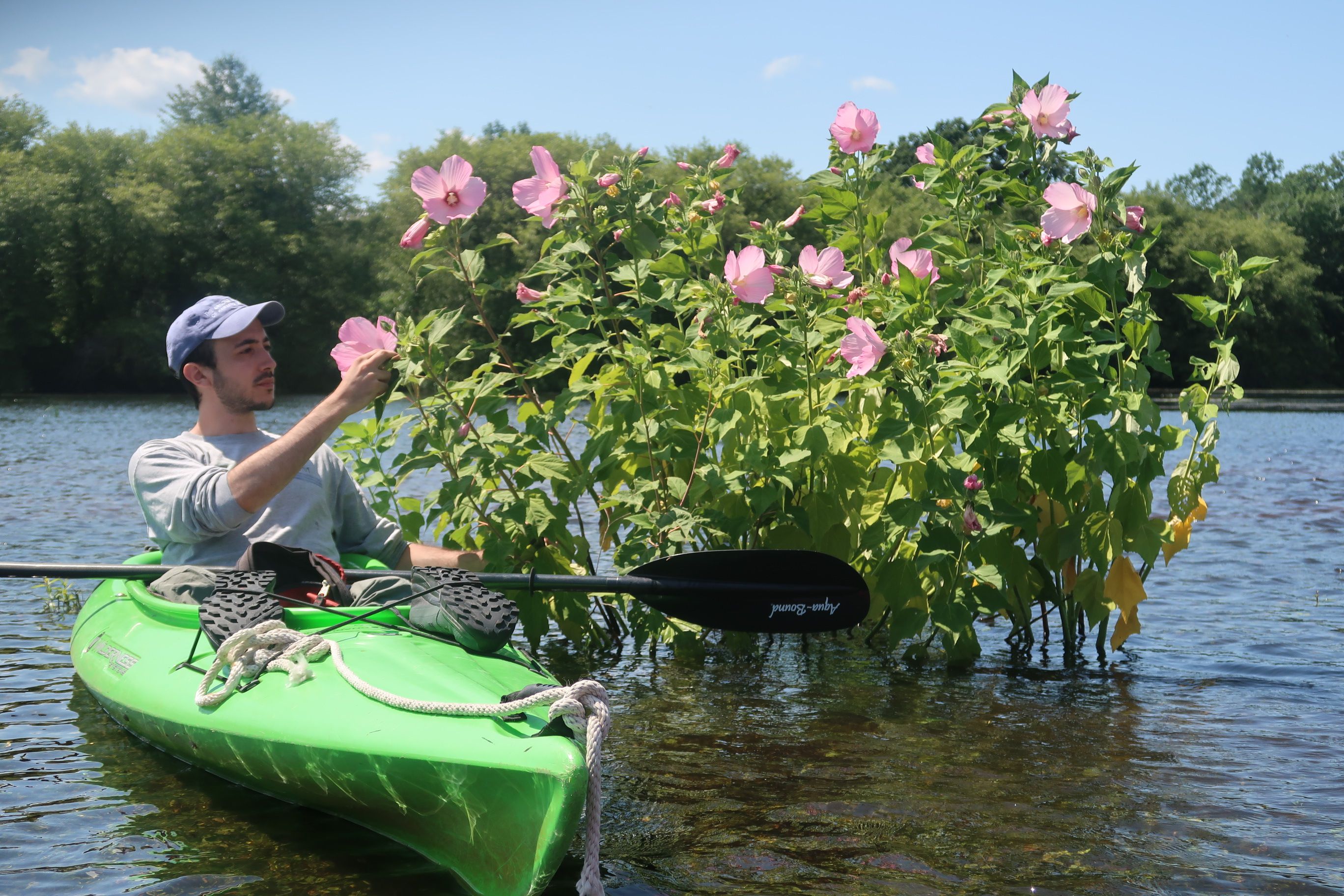 To Do Today: Kayaking on the Charles River, BU Today