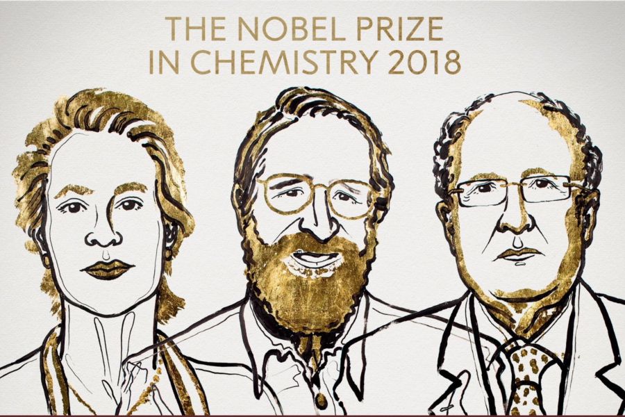 nobel Química