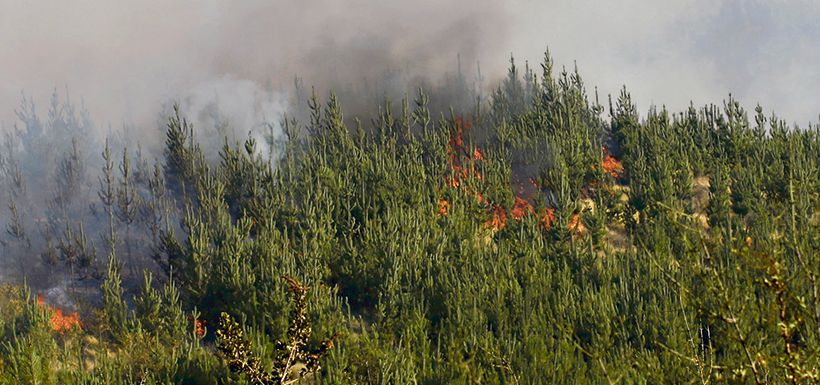 incendios