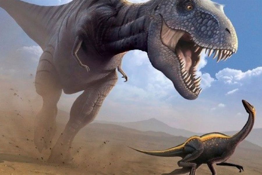 Es cierto que todos los dinosaurios carnívoros comían la misma carne? - La  Tercera