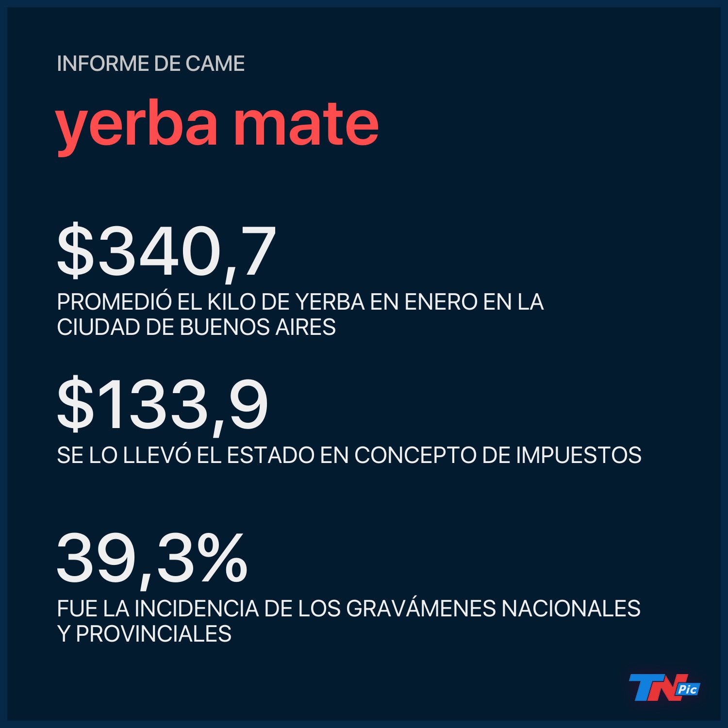 2000 el kilo de yerba: los productos argentinos que la rompen afuera, cómo  hicieron y cuánto cuestan - El Cronista