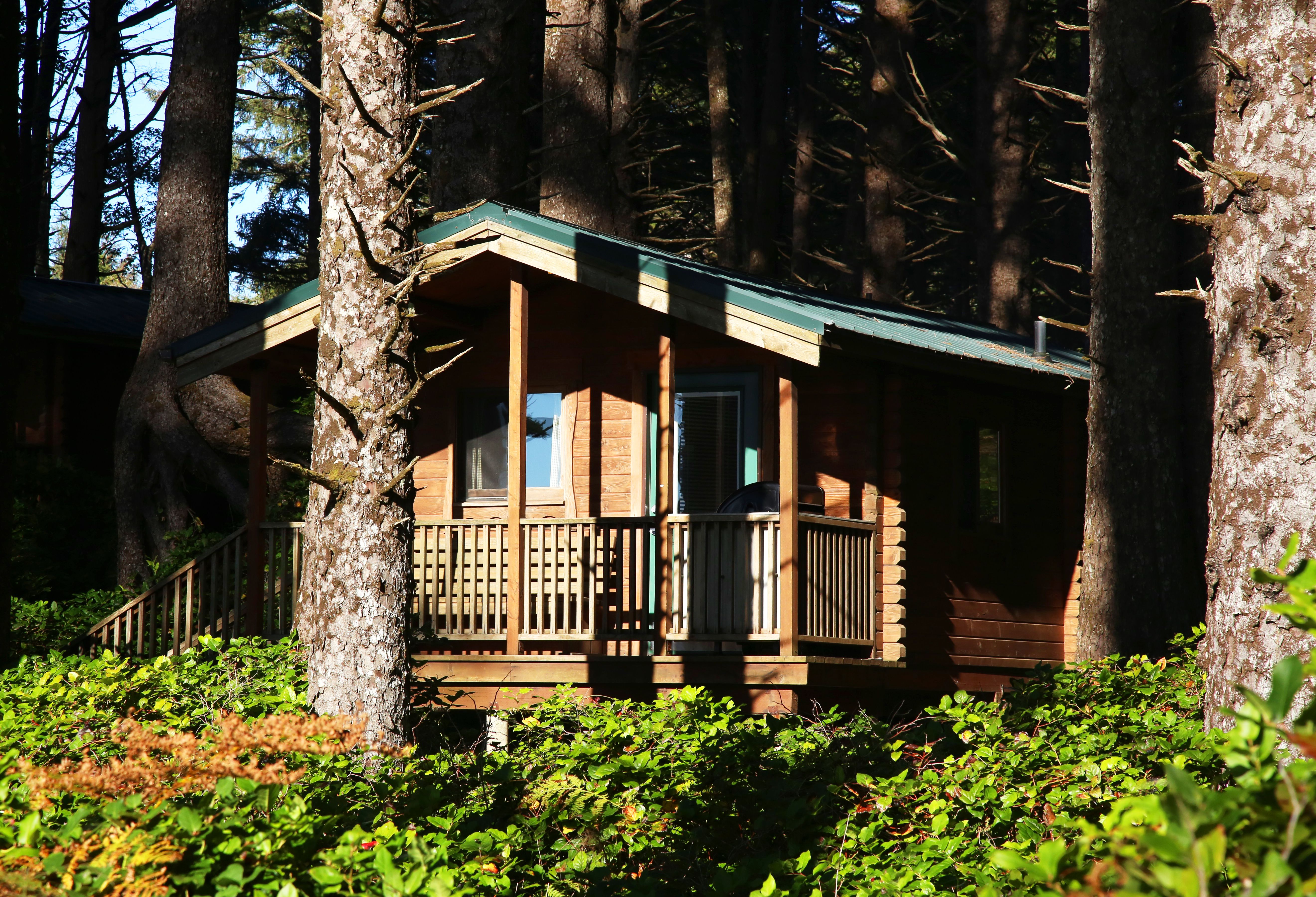 Cape discount lookout yurts