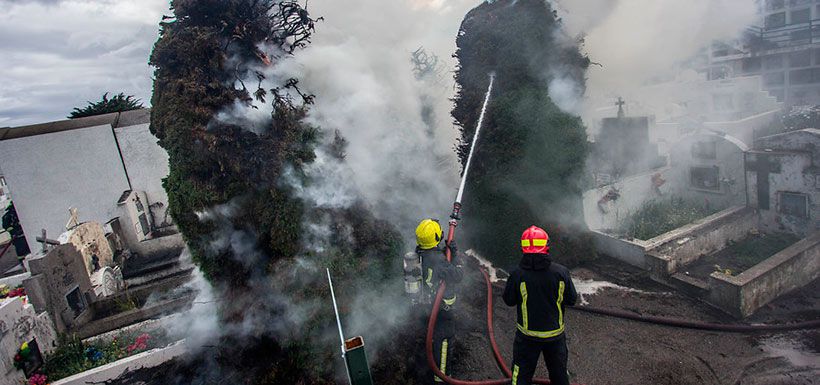 incendio-cipreses